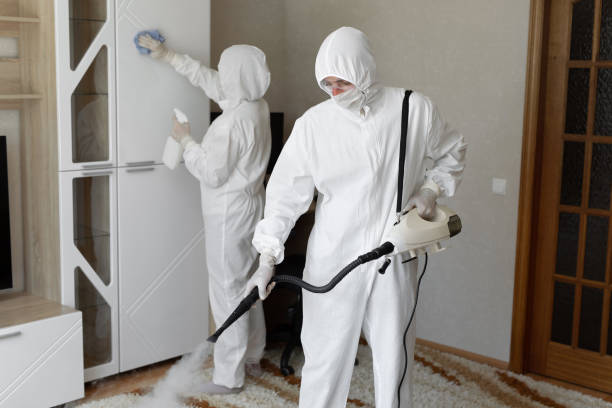 Best Post-Flood Mold Remediation in Oaklyn, NJ