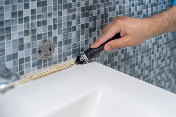 Best Kitchen Mold Remediation in Oaklyn, NJ